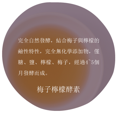 圓圈內有棕色液體，文字描述為發酵李子和檸檬酶，不含化學物質，含有糖和鹽。