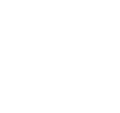 logo bianco mister fish
