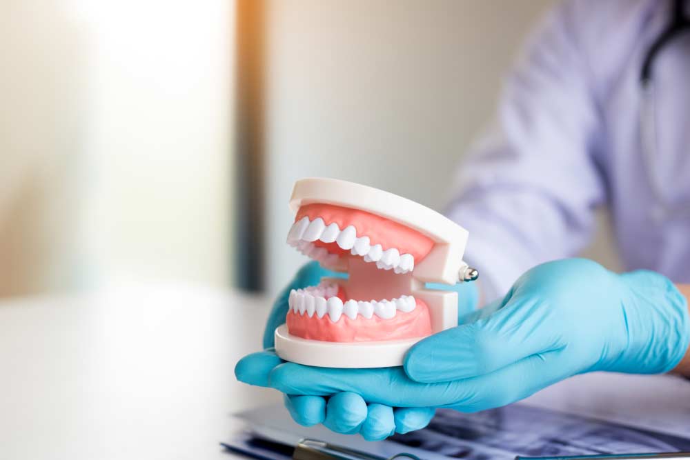Dentist Holding Dentures In Office Room — JCU Dental In Smithfield, QLD