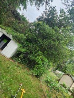 Small building covered up before — Gaston, SC — Professional Lot Clearing & Tree Service