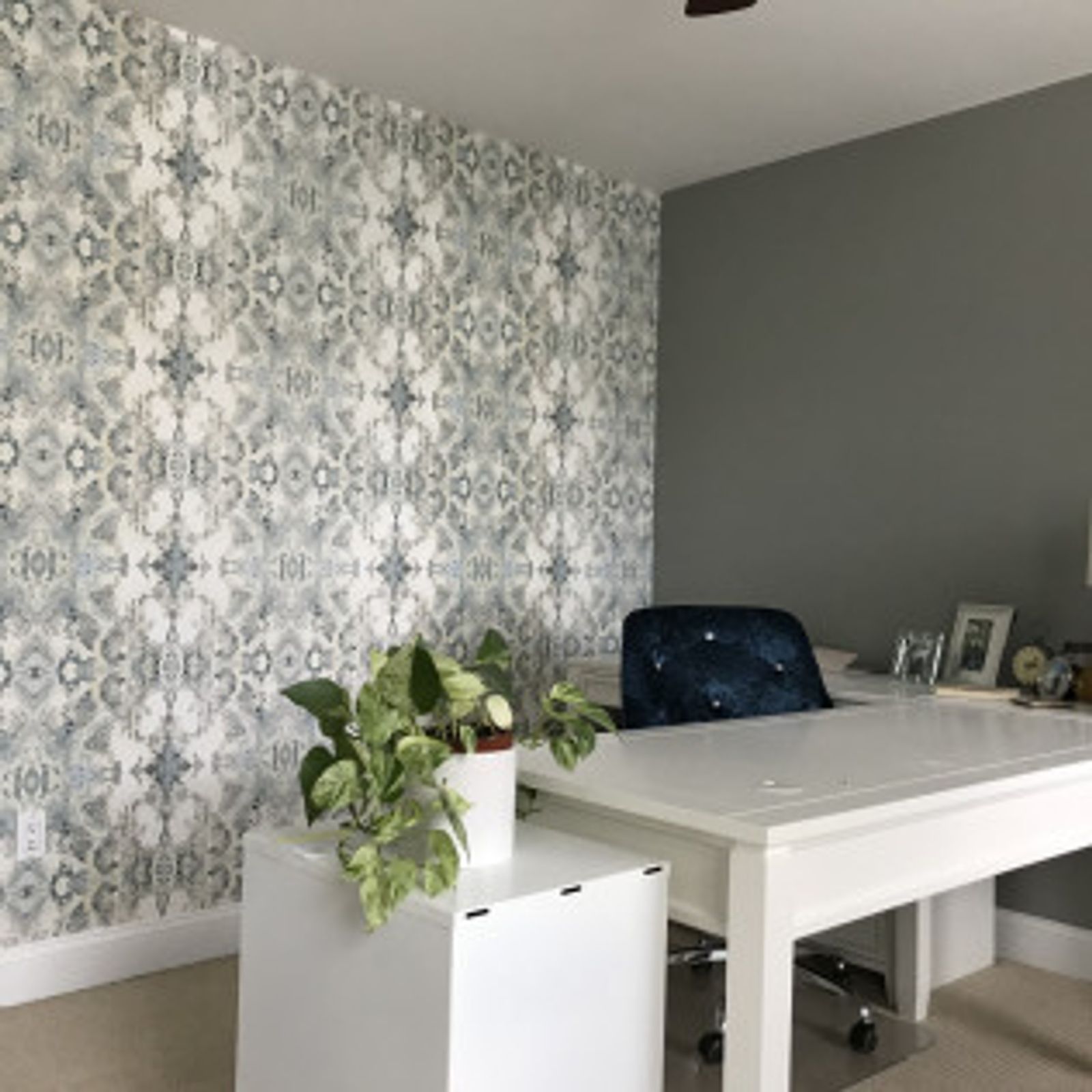 Office with patterned wallpaper, white desk, and plant. Gray wall and blue velvet chair.