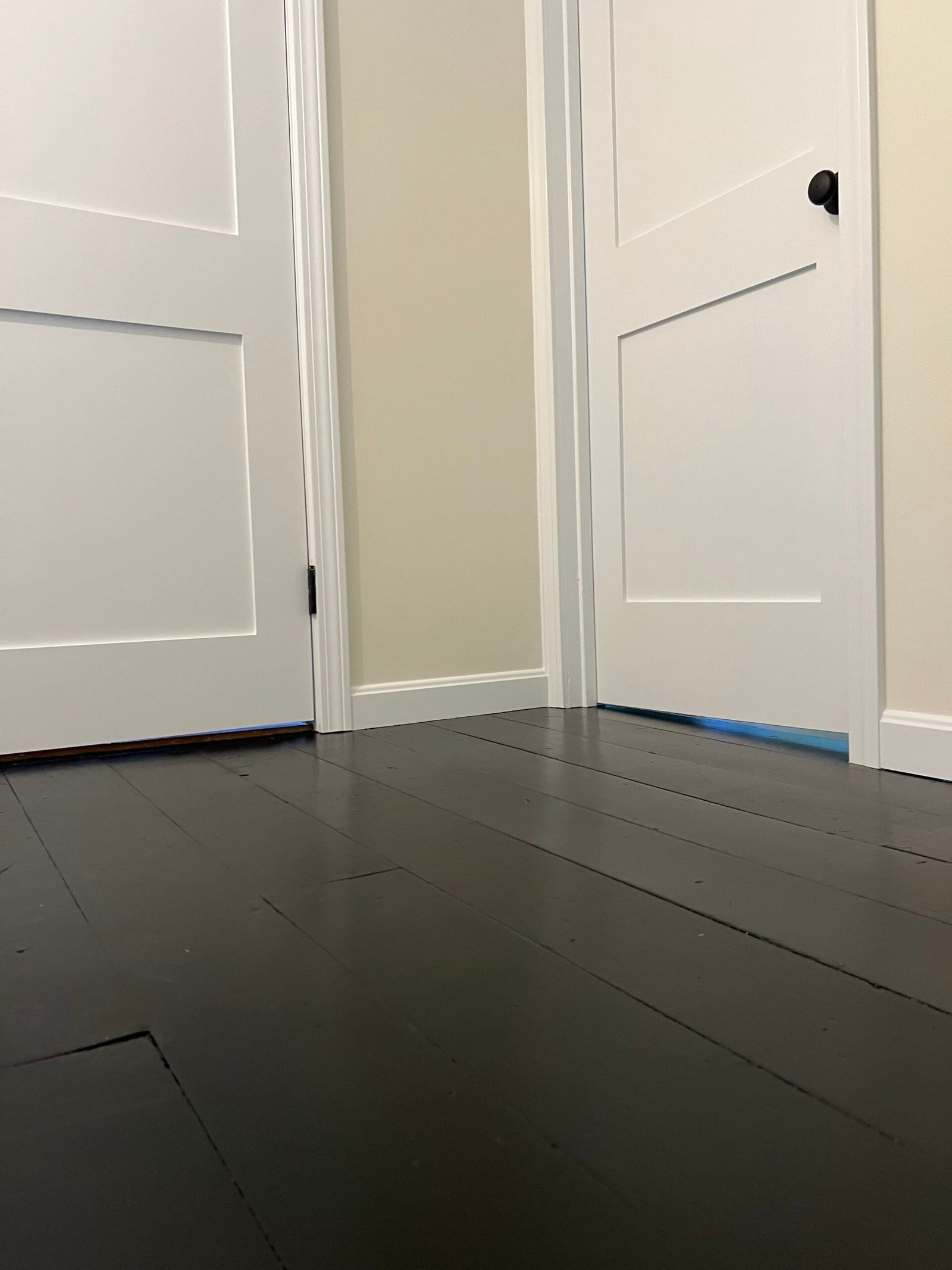 Dark hardwood floor leads to white doors in a neutral-toned room.