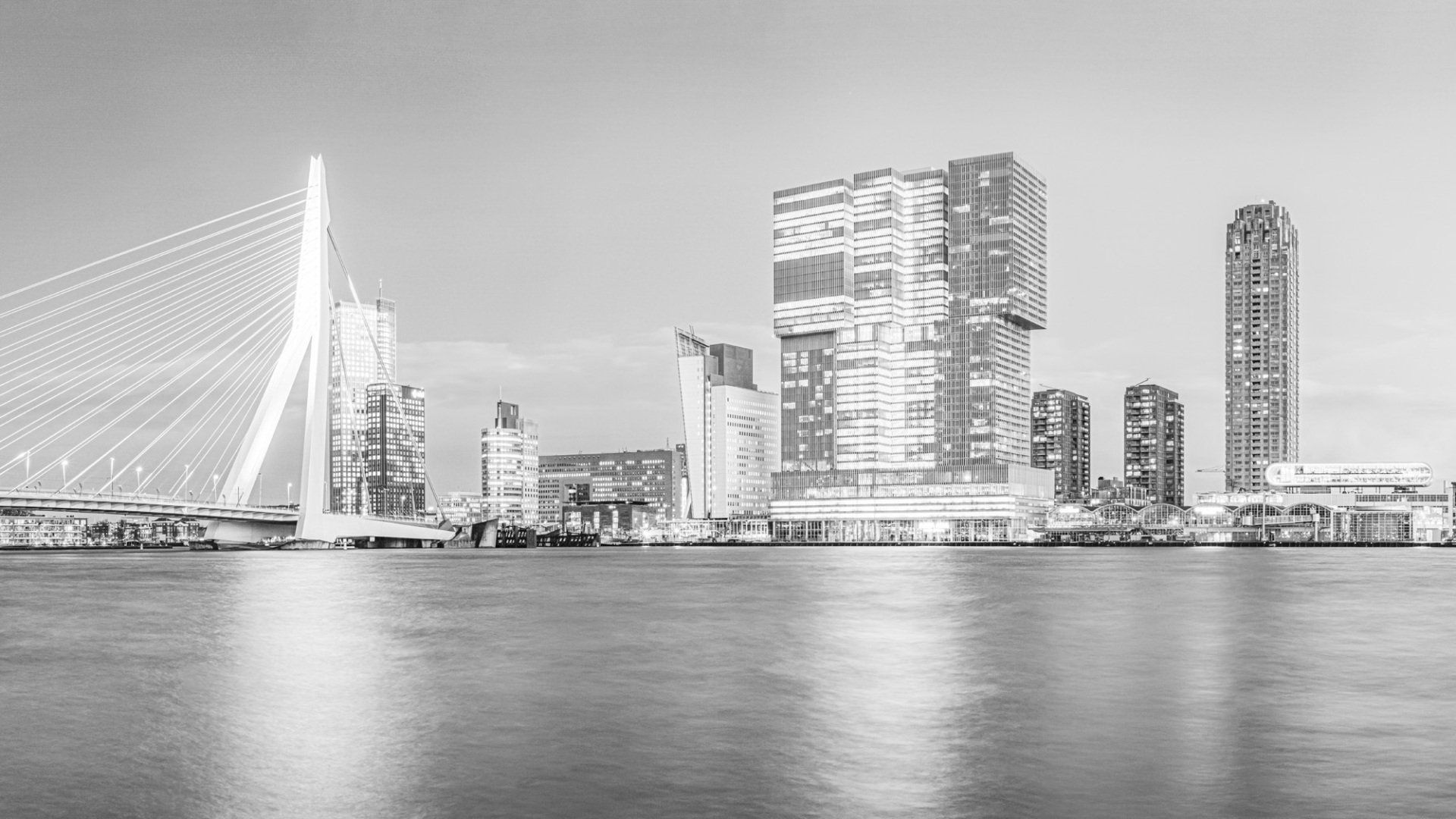 Zwart-wit panoramisch uitzicht op de Erasmusbrug en moderne wolkenkrabbers langs de waterkant in Rotterdam.