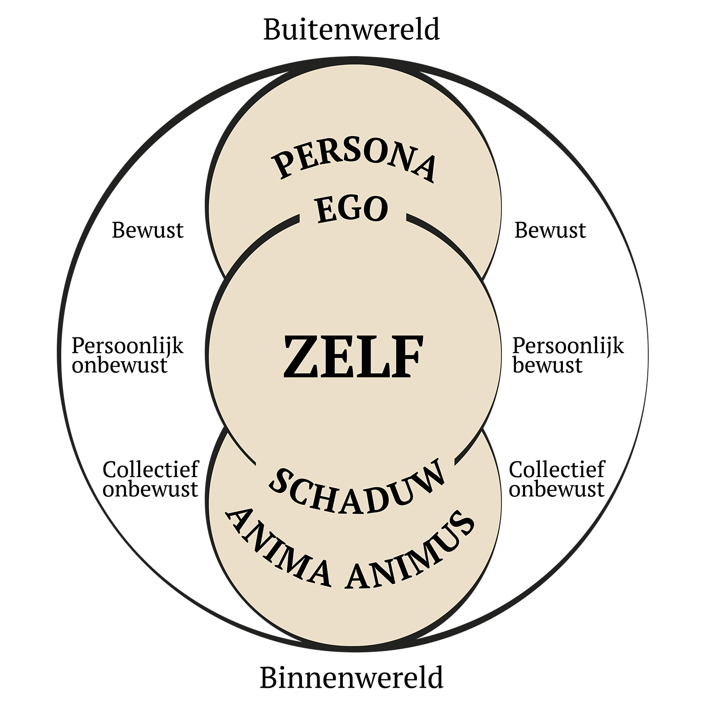 Een diagram uit de Jungiaanse psychologie dat de psyche als lagen weergeeft: Persona, Ego, Zelf, Schaduw, Anima en Animus, binnen een cirkel.