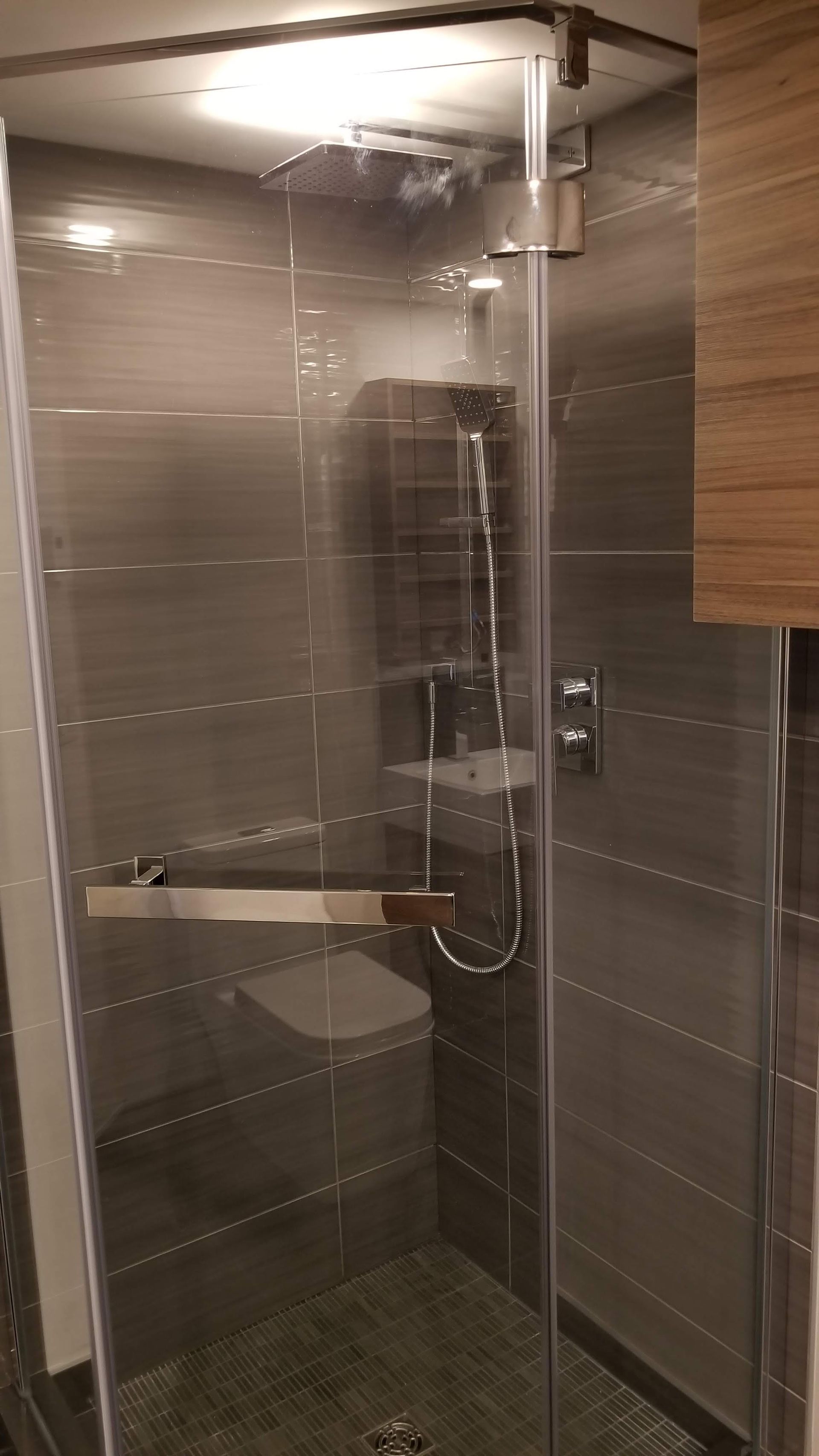 Une salle de bain avec douche à l'italienne et un WC.