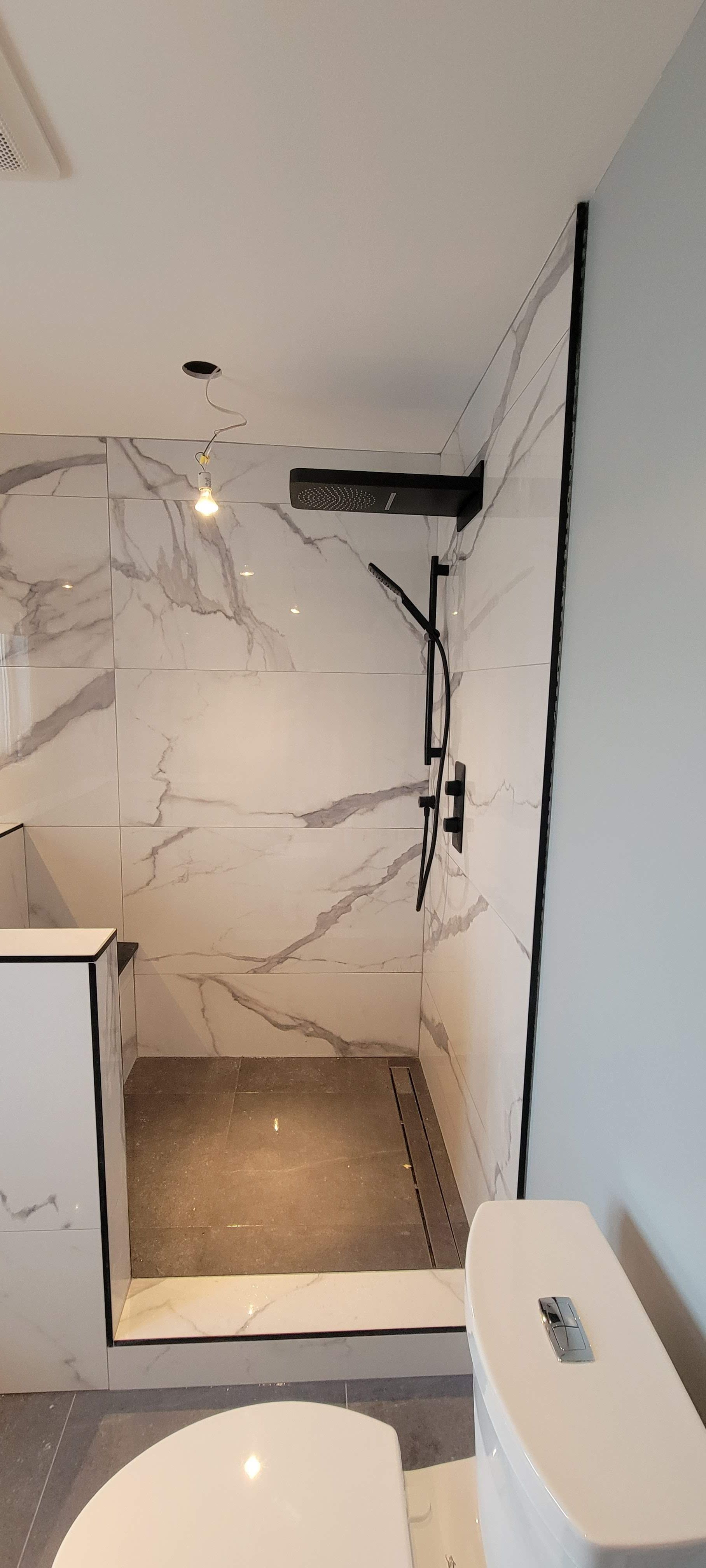 Une salle de bain avec douche à l'italienne et un WC.