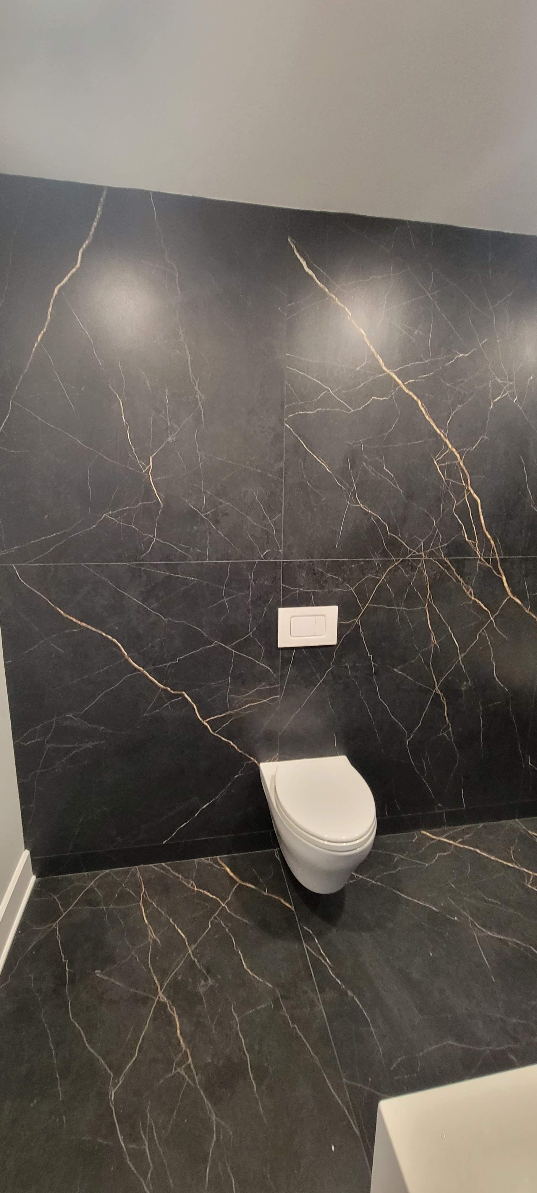 Une salle de bain avec WC et un mur en marbre noir.