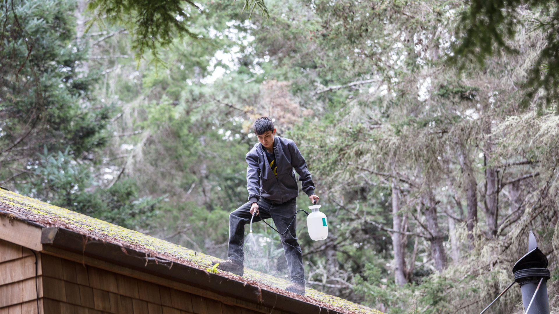 Cleaning roof moss in Cincinnati Ohio