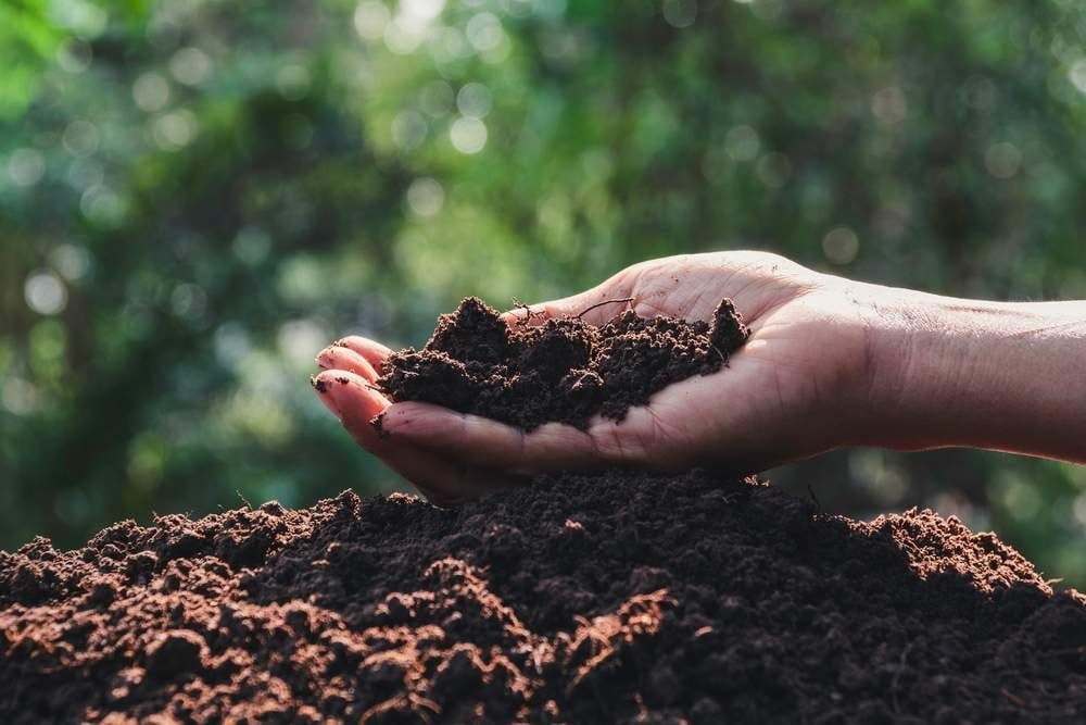Hand Holding Dark Soil Outdoors, Against Blurred Green Foliage — The Soil Yard in Delacombe, VIC