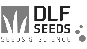 DLF Seeds