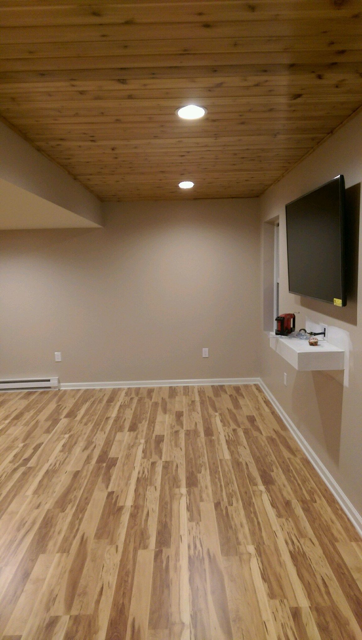 Basement Remodeling - Family Rooms