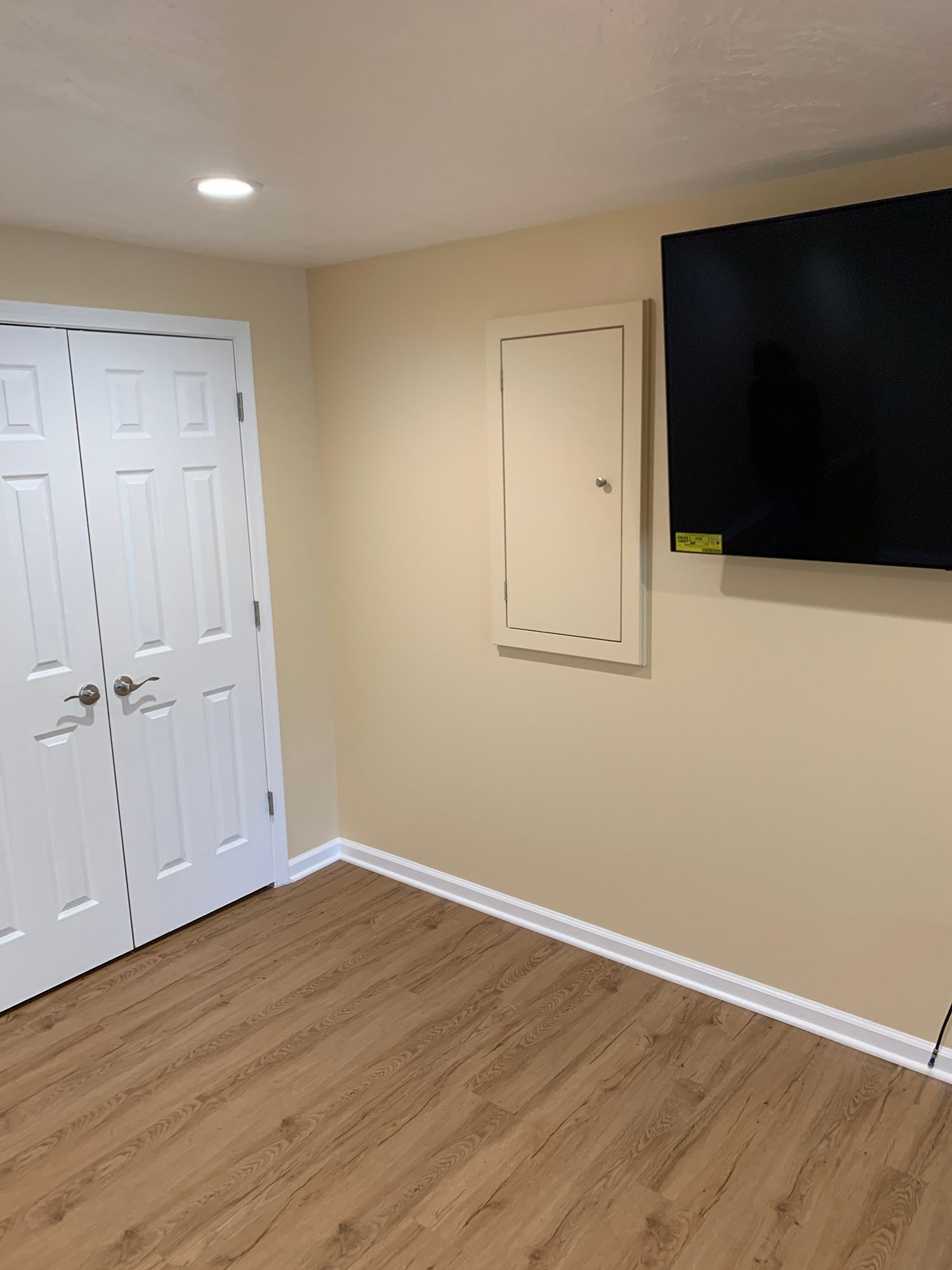 Basement Remodeling - Family Rooms