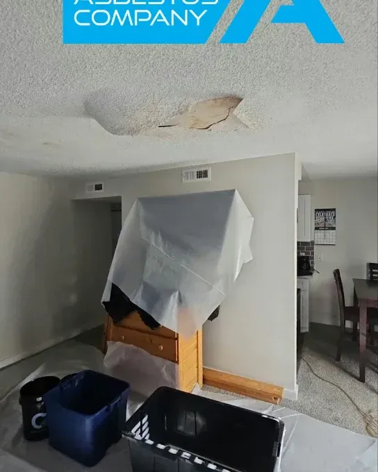 Damaged ceiling in a room, possibly asbestos. Furniture covered, debris collection.