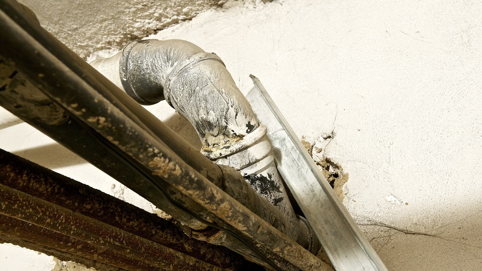 Pipes with peeling insulation on a white wall. Rust and discoloration are visible.