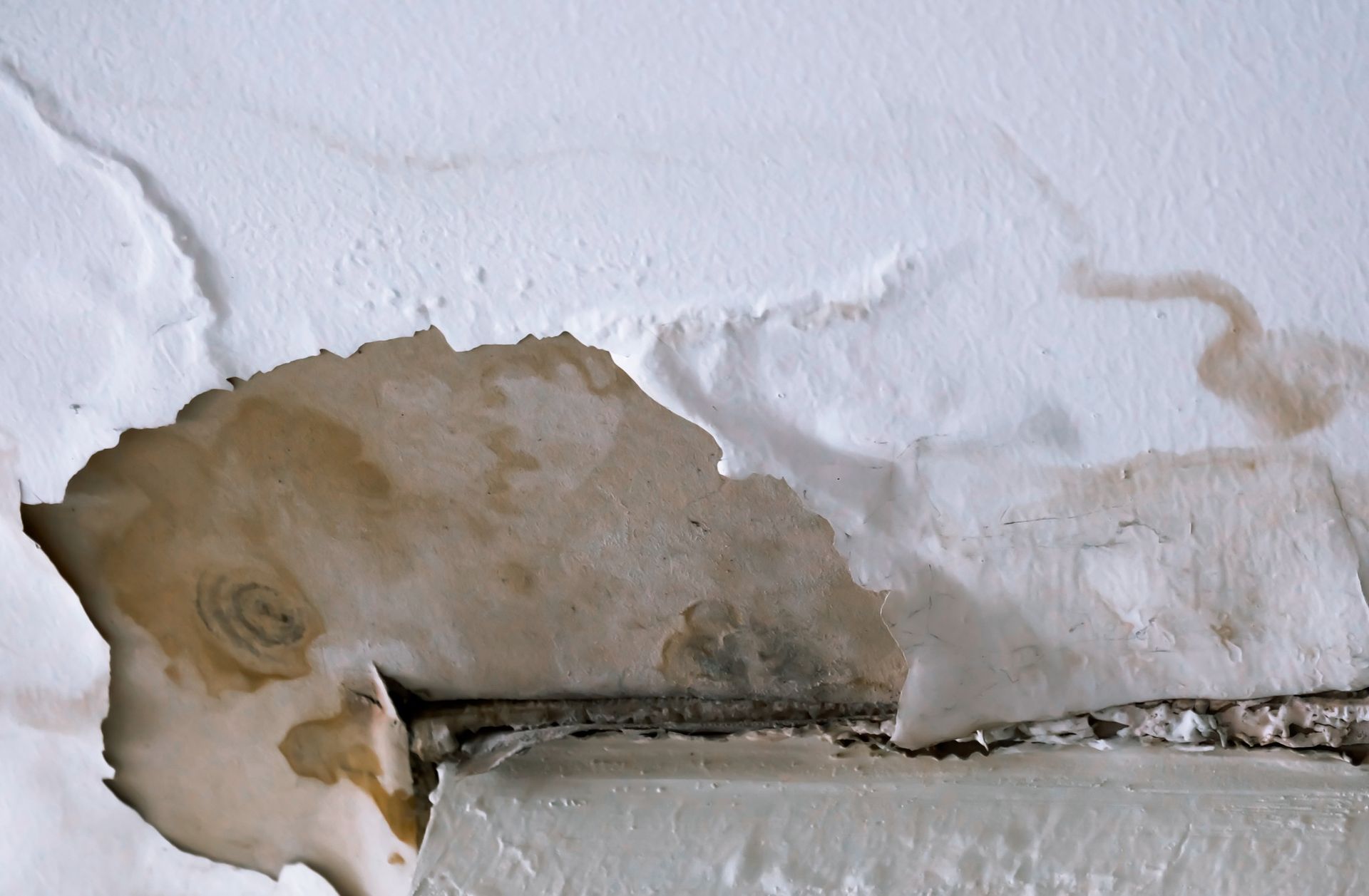 Water-damaged ceiling with peeling paint, brown stains, and signs of mold.