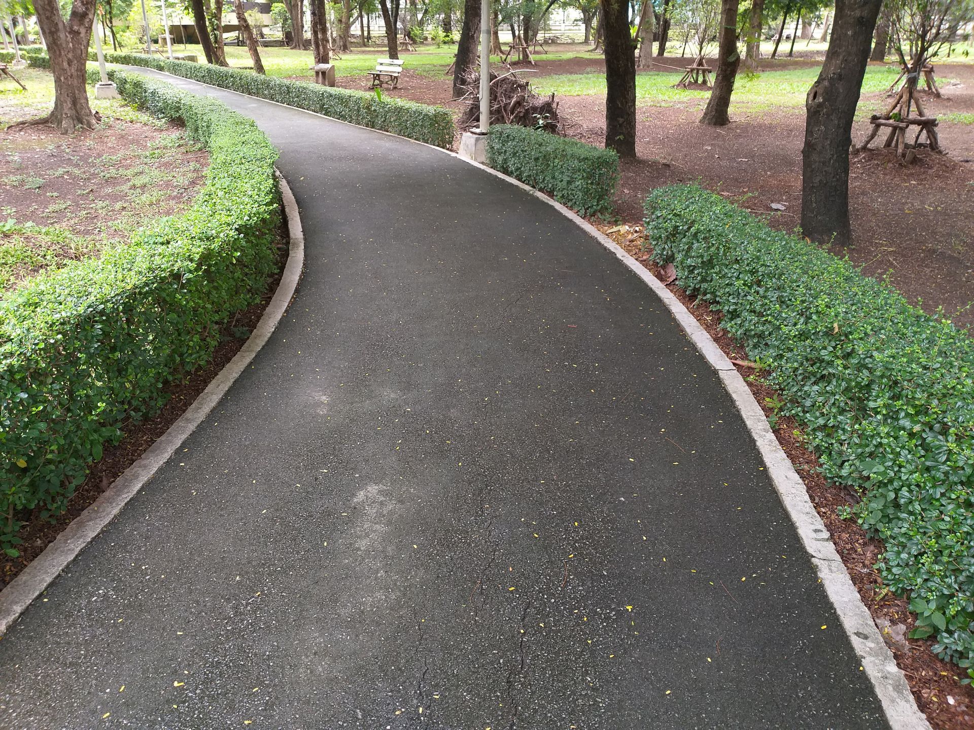 A path in a park surrounded by trees and bushes.