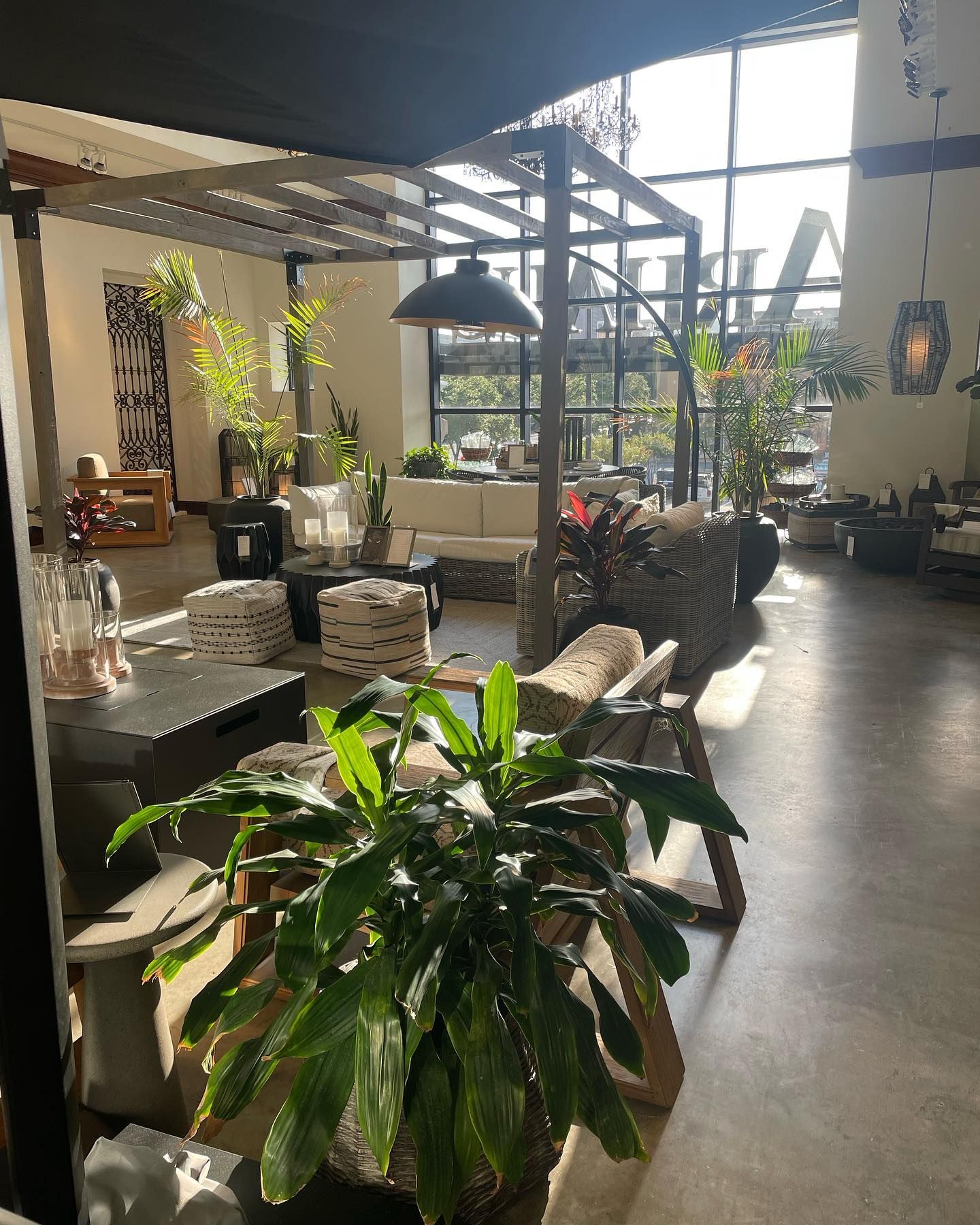 Rooted In Sunshine, Houston TX, Sunset Terrace/Montclair Houston TX, The Memorial Villages Houston TX, Rice Military Houston TX, Greater Heights Houston TX, River Oaks Houston TX, Southampton Houston TX, Braeswood Houston TX, Briargrove Houston TX, Montrose Houston TX, Greenway / Upper Kirby Area Houston TX, Bellaire TX, Spring Valley Village TX, Southside Place TX, West University Place TX, Cinco Ranch TX, Sugar Land TX, Sweetwater Sugar Land TX, Avalon Sugar Land TX, Katy TX, League City TX, Galveston TX, Garden Design, Houston Garden Design, Cinco Ranch Garden Design, Sugar Land Garden Design, Katy Garden Design, Galveston Garden Design, League City Garden Design, West University Place Garden Design, Garden Designer Near Me, Landscape Design, Houston Landscape Design, Cinco Ranch Landscape Design, Sugar Land Landscape Design, Katy Landscape Design, Galveston Landscape Design, League City Landscape Design, West University Place Landscape Design, Landscape Designer Near Me, Garden Bed Replenishment, Garden Bed Maintenance, Landscape, Landscaping Ideas, Backyard Landscaping, Front Yard Landscaping, Landscaping Plants, Native Plant Design, Wildscape, Wildscape Specialists, Wildlife Habitat Installation, Soil Testing, Tree Services, Tree Company Near Me, Houston Tree Company, Cinco Ranch Tree Company, Sugar Land Tree Company, Katy Tree Company, Galveston Tree Company, League City Tree Company, West University Place Tree Company, Tree Removal, Cost of removing a tree, Tree Removal Costs, Tree Pruning, Tree Trimming, Tree Installation, Interior Plant Decor, Interior Plant Decorating, House Plant Maintenance, House Plant Care, Storm Damage Tree Services