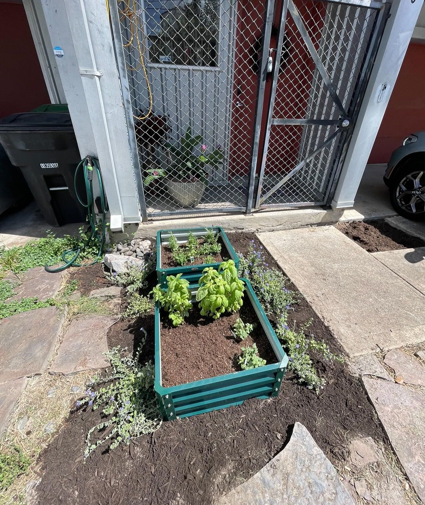 Rooted In Sunshine, Houston TX, Sunset Terrace/Montclair Houston TX, The Memorial Villages Houston TX, Rice Military Houston TX, Greater Heights Houston TX, River Oaks Houston TX, Southampton Houston TX, Braeswood Houston TX, Briargrove Houston TX, Montrose Houston TX, Greenway / Upper Kirby Area Houston TX, Bellaire TX, Spring Valley Village TX, Southside Place TX, West University Place TX, Cinco Ranch TX, Sugar Land TX, Sweetwater Sugar Land TX, Avalon Sugar Land TX, Katy TX, League City TX, Galveston TX, Garden Design, Houston Garden Design, Cinco Ranch Garden Design, Sugar Land Garden Design, Katy Garden Design, Galveston Garden Design, League City Garden Design, West University Place Garden Design, Garden Designer Near Me, Landscape Design, Houston Landscape Design, Cinco Ranch Landscape Design, Sugar Land Landscape Design, Katy Landscape Design, Galveston Landscape Design, League City Landscape Design, West University Place Landscape Design, Landscape Designer Near Me, Garden Bed Replenishment, Garden Bed Maintenance, Landscape, Landscaping Ideas, Backyard Landscaping, Front Yard Landscaping, Landscaping Plants, Native Plant Design, Wildscape, Wildscape Specialists, Wildlife Habitat Installation, Soil Testing, Tree Services, Tree Company Near Me, Houston Tree Company, Cinco Ranch Tree Company, Sugar Land Tree Company, Katy Tree Company, Galveston Tree Company, League City Tree Company, West University Place Tree Company, Tree Removal, Cost of removing a tree, Tree Removal Costs, Tree Pruning, Tree Trimming, Tree Installation, Interior Plant Decor, Interior Plant Decorating, House Plant Maintenance, House Plant Care, Storm Damage Tree Services