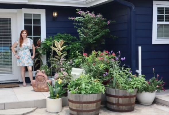 Rooted In Sunshine, Houston TX, Sunset Terrace/Montclair Houston TX, The Memorial Villages Houston TX, Rice Military Houston TX, Greater Heights Houston TX, River Oaks Houston TX, Southampton Houston TX, Braeswood Houston TX, Briargrove Houston TX, Montrose Houston TX, Greenway / Upper Kirby Area Houston TX, Bellaire TX, Spring Valley Village TX, Southside Place TX, West University Place TX, Cinco Ranch TX, Sugar Land TX, Sweetwater Sugar Land TX, Avalon Sugar Land TX, Katy TX, League City TX, Galveston TX, Garden Design, Houston Garden Design, Cinco Ranch Garden Design, Sugar Land Garden Design, Katy Garden Design, Galveston Garden Design, League City Garden Design, West University Place Garden Design, Garden Designer Near Me, Landscape Design, Houston Landscape Design, Cinco Ranch Landscape Design, Sugar Land Landscape Design, Katy Landscape Design, Galveston Landscape Design, League City Landscape Design, West University Place Landscape Design, Landscape Designer Near Me, Garden Bed Replenishment, Garden Bed Maintenance, Landscape, Landscaping Ideas, Backyard Landscaping, Front Yard Landscaping, Landscaping Plants, Native Plant Design, Wildscape, Wildscape Specialists, Wildlife Habitat Installation, Soil Testing, Tree Services, Tree Company Near Me, Houston Tree Company, Cinco Ranch Tree Company, Sugar Land Tree Company, Katy Tree Company, Galveston Tree Company, League City Tree Company, West University Place Tree Company, Tree Removal, Cost of removing a tree, Tree Removal Costs, Tree Pruning, Tree Trimming, Tree Installation, Interior Plant Decor, Interior Plant Decorating, House Plant Maintenance, House Plant Care, Storm Damage Tree Services