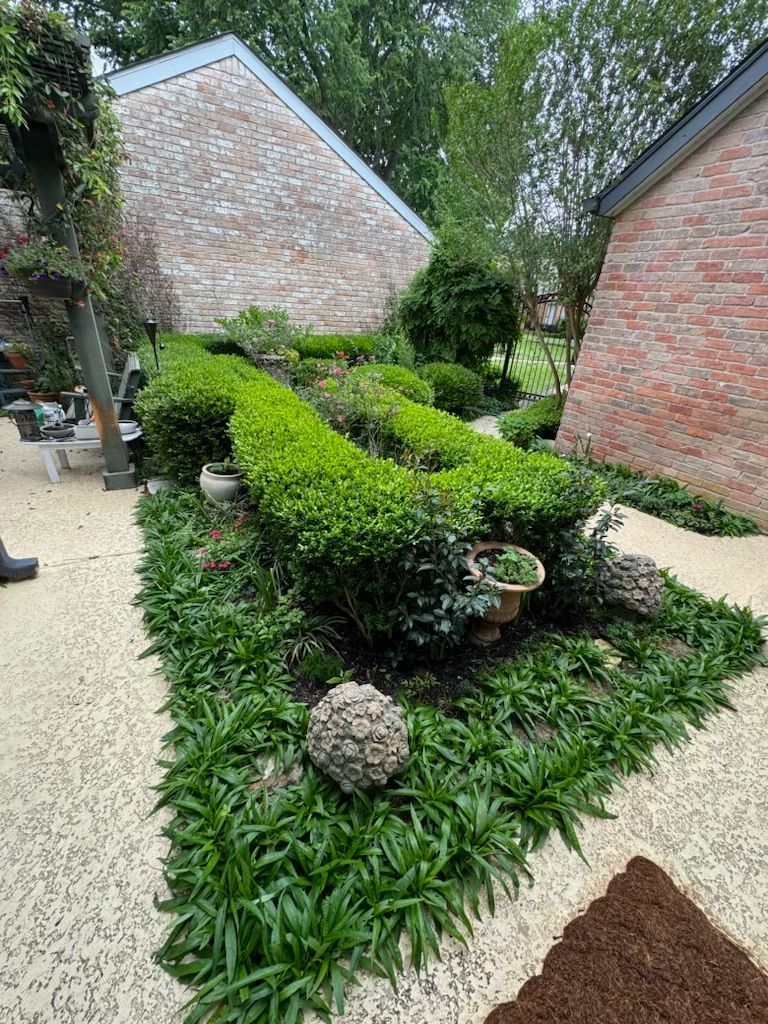 Rooted In Sunshine, Houston TX, Sunset Terrace/Montclair Houston TX, The Memorial Villages Houston TX, Rice Military Houston TX, Greater Heights Houston TX, River Oaks Houston TX, Southampton Houston TX, Braeswood Houston TX, Briargrove Houston TX, Montrose Houston TX, Greenway / Upper Kirby Area Houston TX, Bellaire TX, Spring Valley Village TX, Southside Place TX, West University Place TX, Cinco Ranch TX, Sugar Land TX, Sweetwater Sugar Land TX, Avalon Sugar Land TX, Katy TX, League City TX, Galveston TX, Garden Design, Houston Garden Design, Cinco Ranch Garden Design, Sugar Land Garden Design, Katy Garden Design, Galveston Garden Design, League City Garden Design, West University Place Garden Design, Garden Designer Near Me, Landscape Design, Houston Landscape Design, Cinco Ranch Landscape Design, Sugar Land Landscape Design, Katy Landscape Design, Galveston Landscape Design, League City Landscape Design, West University Place Landscape Design, Landscape Designer Near Me, Garden Bed Replenishment, Garden Bed Maintenance, Landscape, Landscaping Ideas, Backyard Landscaping, Front Yard Landscaping, Landscaping Plants, Native Plant Design, Wildscape, Wildscape Specialists, Wildlife Habitat Installation, Soil Testing, Tree Services, Tree Company Near Me, Houston Tree Company, Cinco Ranch Tree Company, Sugar Land Tree Company, Katy Tree Company, Galveston Tree Company, League City Tree Company, West University Place Tree Company, Tree Removal, Cost of removing a tree, Tree Removal Costs, Tree Pruning, Tree Trimming, Tree Installation, Interior Plant Decor, Interior Plant Decorating, House Plant Maintenance, House Plant Care, Storm Damage Tree Services