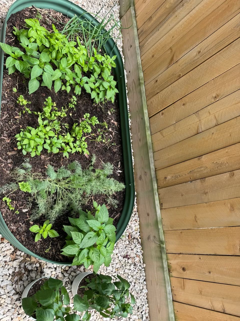 Rooted In Sunshine, Houston TX, Sunset Terrace/Montclair Houston TX, The Memorial Villages Houston TX, Rice Military Houston TX, Greater Heights Houston TX, River Oaks Houston TX, Southampton Houston TX, Braeswood Houston TX, Briargrove Houston TX, Montrose Houston TX, Greenway / Upper Kirby Area Houston TX, Bellaire TX, Spring Valley Village TX, Southside Place TX, West University Place TX, Cinco Ranch TX, Sugar Land TX, Sweetwater Sugar Land TX, Avalon Sugar Land TX, Katy TX, League City TX, Galveston TX, Garden Design, Houston Garden Design, Cinco Ranch Garden Design, Sugar Land Garden Design, Katy Garden Design, Galveston Garden Design, League City Garden Design, West University Place Garden Design, Garden Designer Near Me, Landscape Design, Houston Landscape Design, Cinco Ranch Landscape Design, Sugar Land Landscape Design, Katy Landscape Design, Galveston Landscape Design, League City Landscape Design, West University Place Landscape Design, Landscape Designer Near Me, Garden Bed Replenishment, Garden Bed Maintenance, Landscape, Landscaping Ideas, Backyard Landscaping, Front Yard Landscaping, Landscaping Plants, Native Plant Design, Wildscape, Wildscape Specialists, Wildlife Habitat Installation, Soil Testing, Tree Services, Tree Company Near Me, Houston Tree Company, Cinco Ranch Tree Company, Sugar Land Tree Company, Katy Tree Company, Galveston Tree Company, League City Tree Company, West University Place Tree Company, Tree Removal, Cost of removing a tree, Tree Removal Costs, Tree Pruning, Tree Trimming, Tree Installation, Interior Plant Decor, Interior Plant Decorating, House Plant Maintenance, House Plant Care, Storm Damage Tree Services