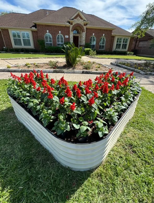 Rooted In Sunshine, Houston TX, Sunset Terrace/Montclair Houston TX, The Memorial Villages Houston TX, Rice Military Houston TX, Greater Heights Houston TX, River Oaks Houston TX, Southampton Houston TX, Braeswood Houston TX, Briargrove Houston TX, Montrose Houston TX, Greenway / Upper Kirby Area Houston TX, Bellaire TX, Spring Valley Village TX, Southside Place TX, West University Place TX, Cinco Ranch TX, Sugar Land TX, Sweetwater Sugar Land TX, Avalon Sugar Land TX, Katy TX, League City TX, Galveston TX, Garden Design, Houston Garden Design, Cinco Ranch Garden Design, Sugar Land Garden Design, Katy Garden Design, Galveston Garden Design, League City Garden Design, West University Place Garden Design, Garden Designer Near Me, Landscape Design, Houston Landscape Design, Cinco Ranch Landscape Design, Sugar Land Landscape Design, Katy Landscape Design, Galveston Landscape Design, League City Landscape Design, West University Place Landscape Design, Landscape Designer Near Me, Garden Bed Replenishment, Garden Bed Maintenance, Landscape, Landscaping Ideas, Backyard Landscaping, Front Yard Landscaping, Landscaping Plants, Native Plant Design, Wildscape, Wildscape Specialists, Wildlife Habitat Installation, Soil Testing, Tree Services, Tree Company Near Me, Houston Tree Company, Cinco Ranch Tree Company, Sugar Land Tree Company, Katy Tree Company, Galveston Tree Company, League City Tree Company, West University Place Tree Company, Tree Removal, Cost of removing a tree, Tree Removal Costs, Tree Pruning, Tree Trimming, Tree Installation, Interior Plant Decor, Interior Plant Decorating, House Plant Maintenance, House Plant Care, Storm Damage Tree Services