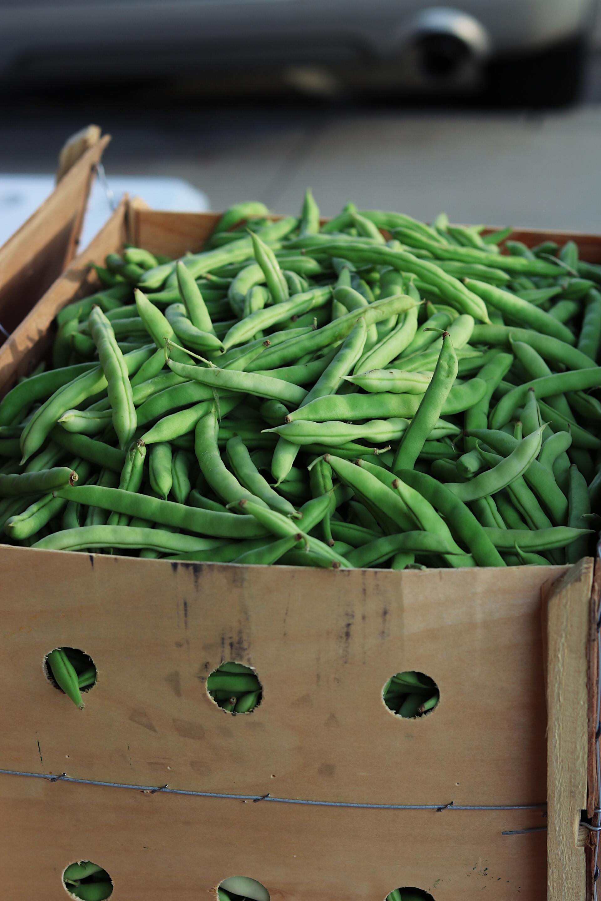 A cardboard box full of green beans