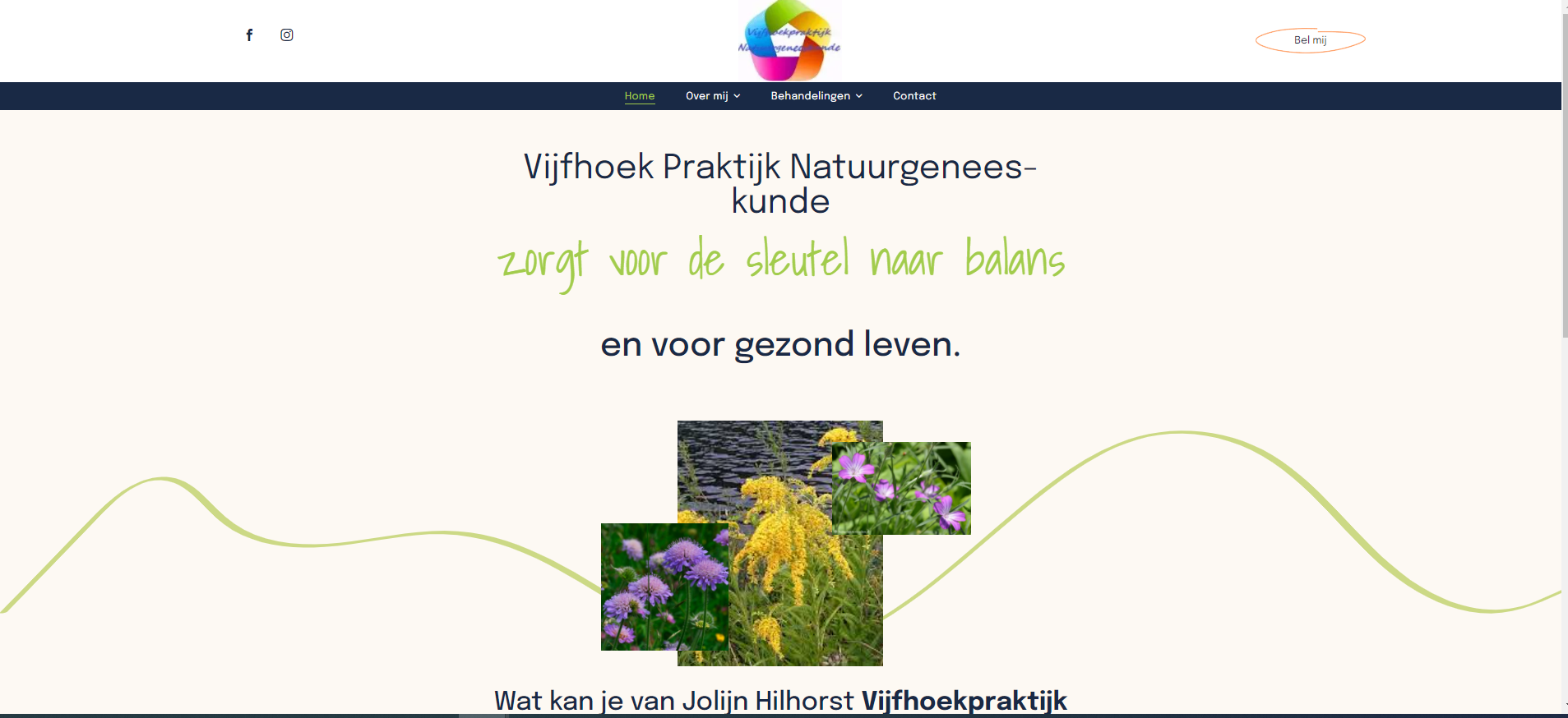 www.vijfhoekpraktijknatuurgeneeskunde.nl