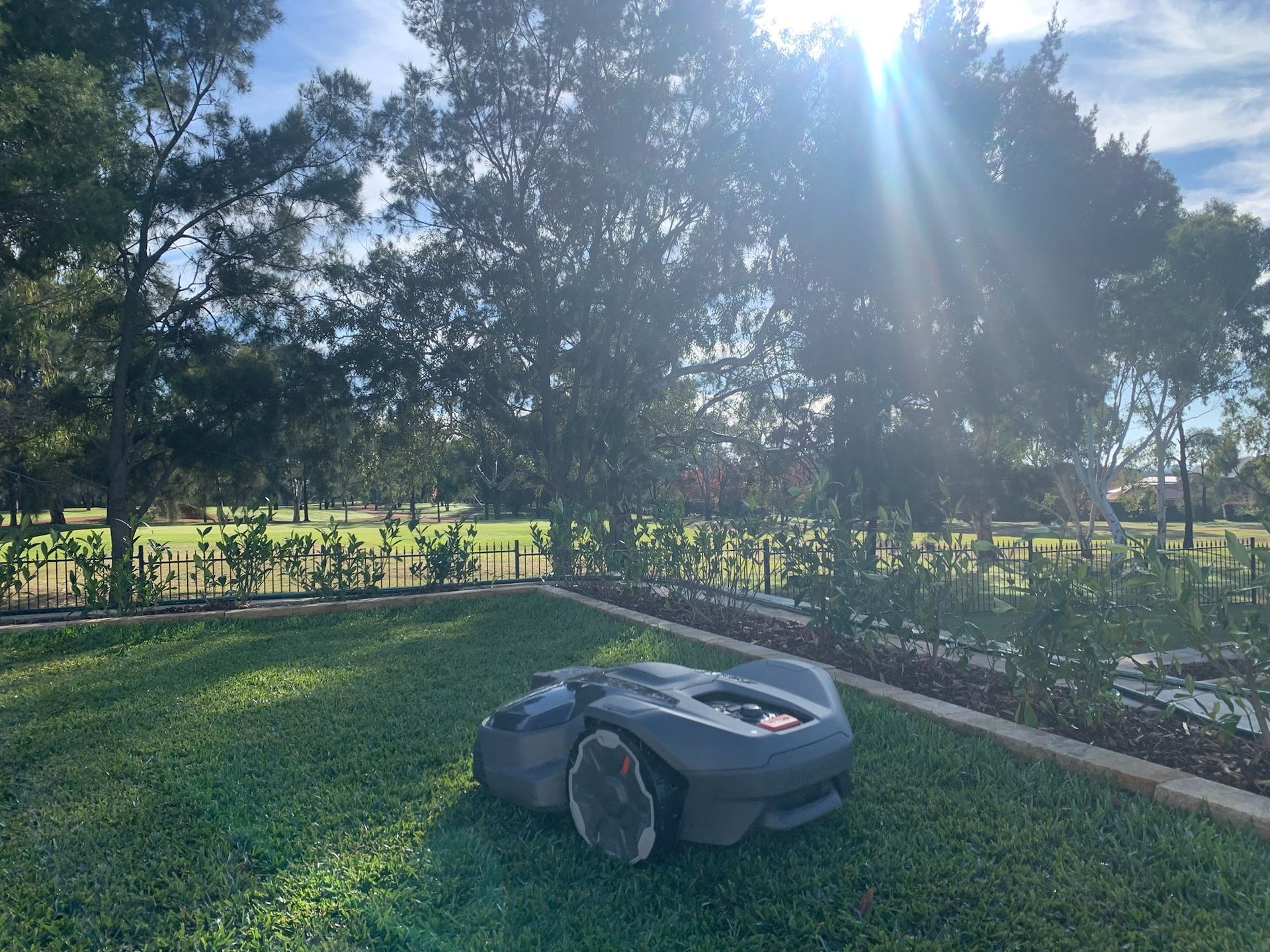 Robotic lawnmower on a green lawn with trees and sunshine in the background— M.M & Mechanical in Dubbo, NSW