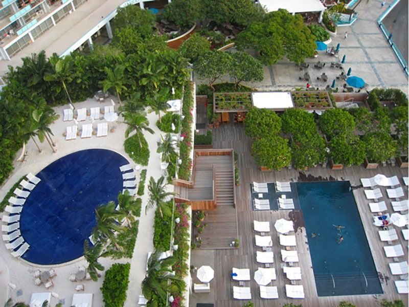 Vista aérea da área da piscina de um resort com espreguiçadeiras, palmeiras e piscinas em tons de azul e turquesa.