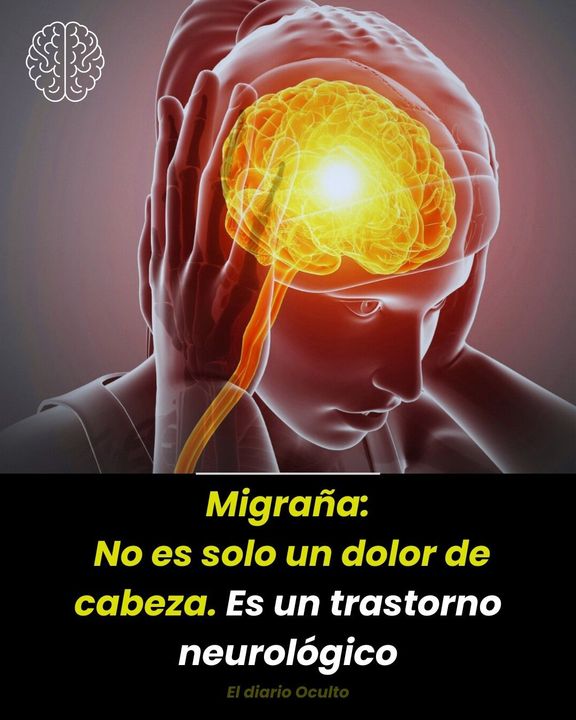 CONTRERAS ORTIZ MANUEL S. DR