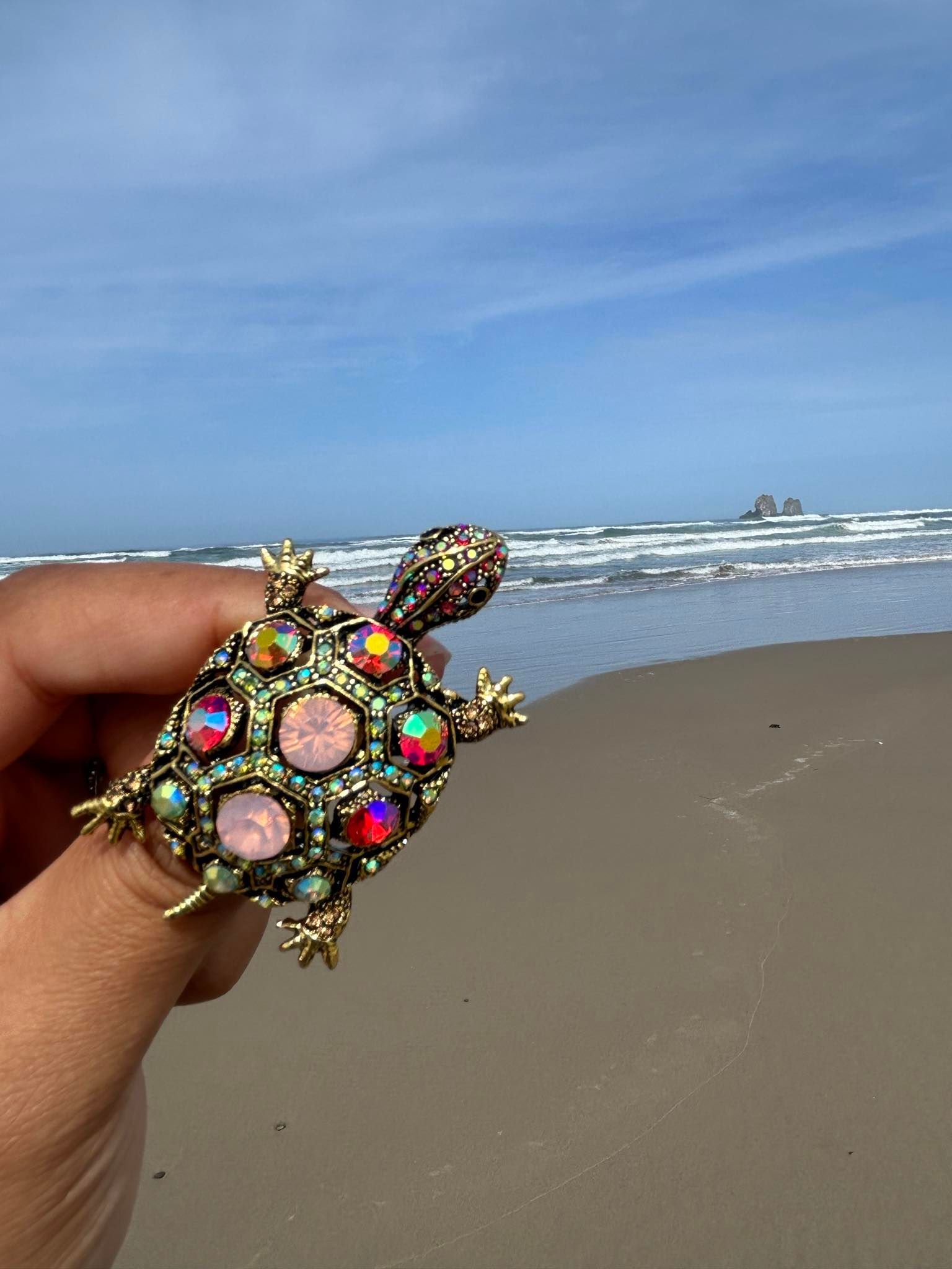 A person is holding a brooch in the shape of a turtle on the beach.