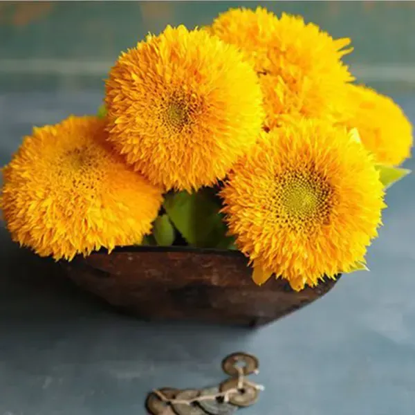 A close up of a sunflower with a green stem