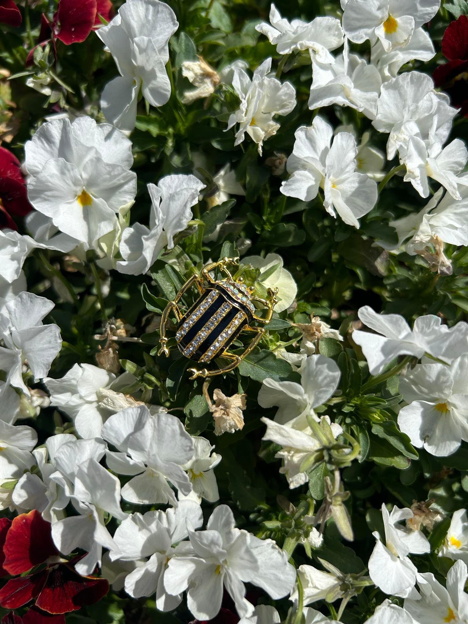 A close up of a ring in a field of white flowers.