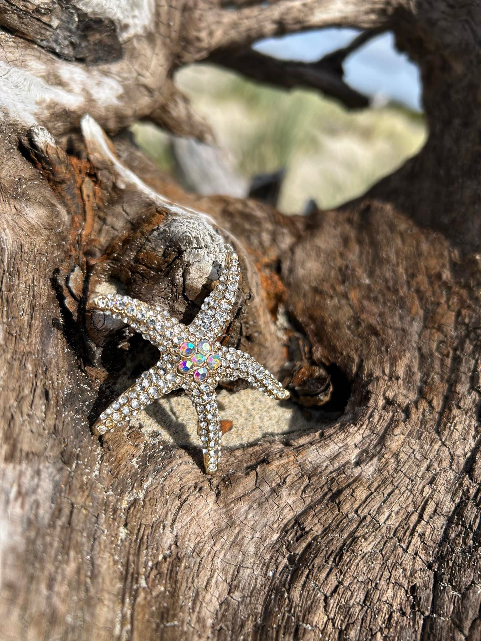 A person is holding a starfish in their hand on the beach.