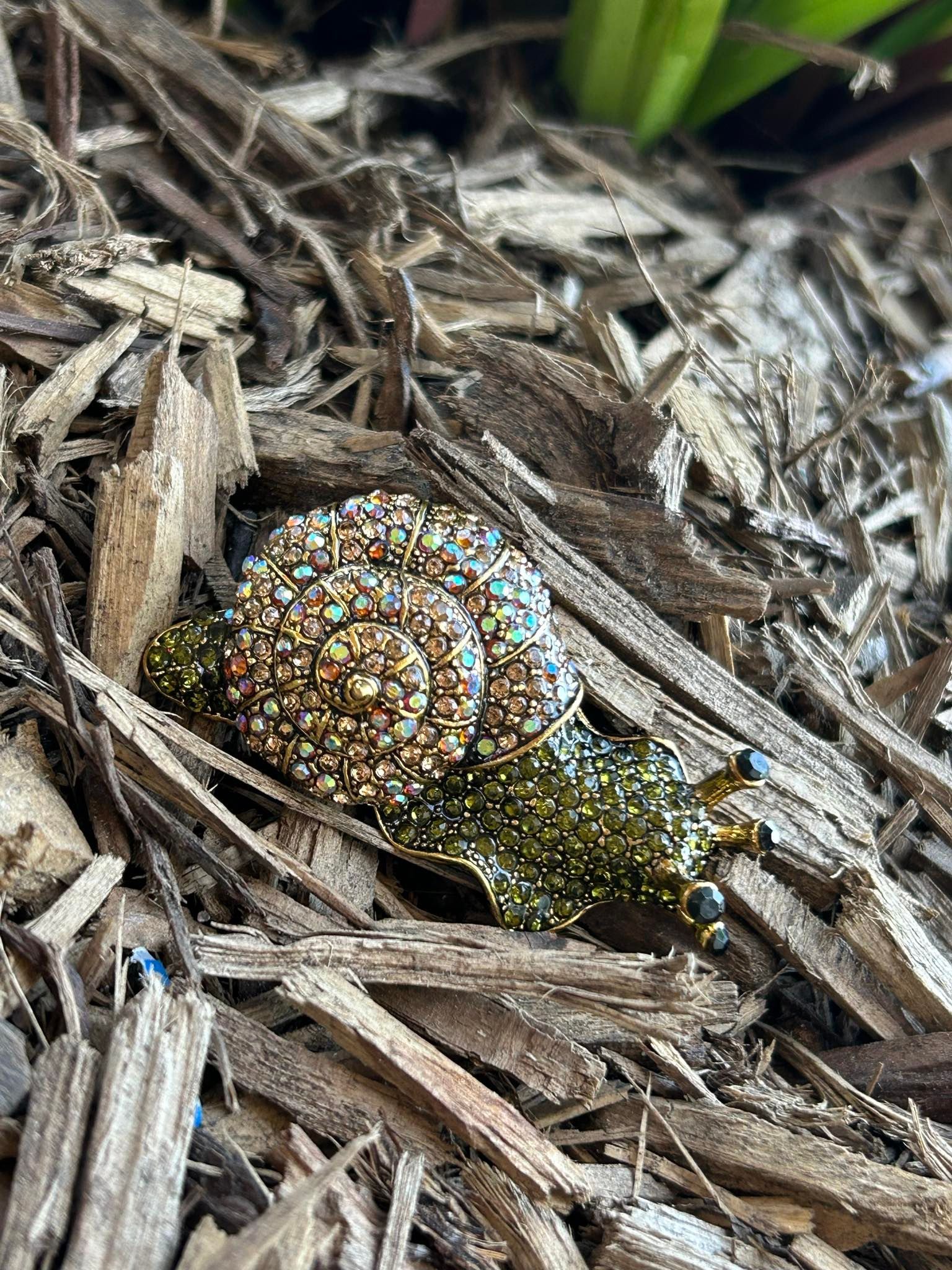 A person is holding a snail brooch in their hand.