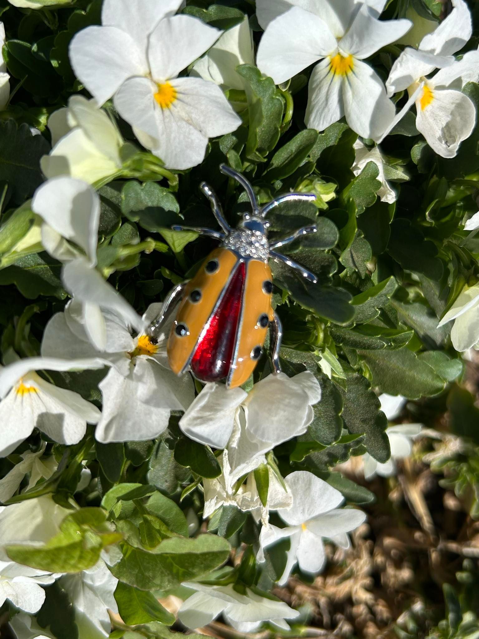 A ladybug is sitting on top of a white flower.