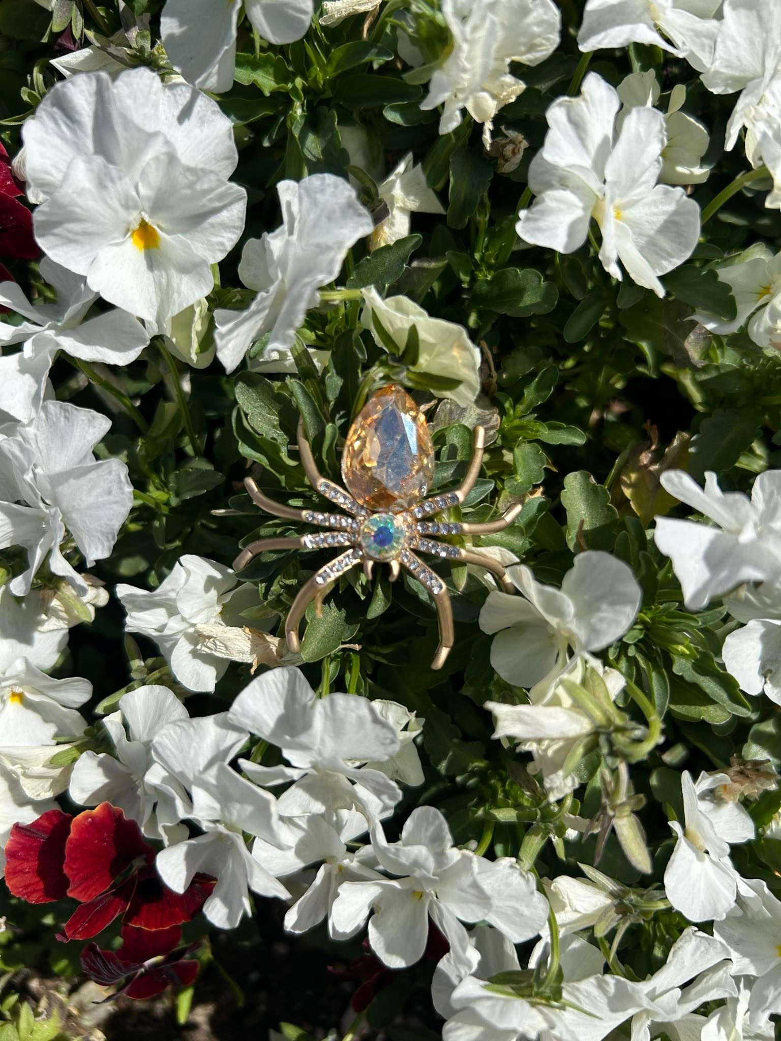 A brooch in the shape of a spider with rhinestones