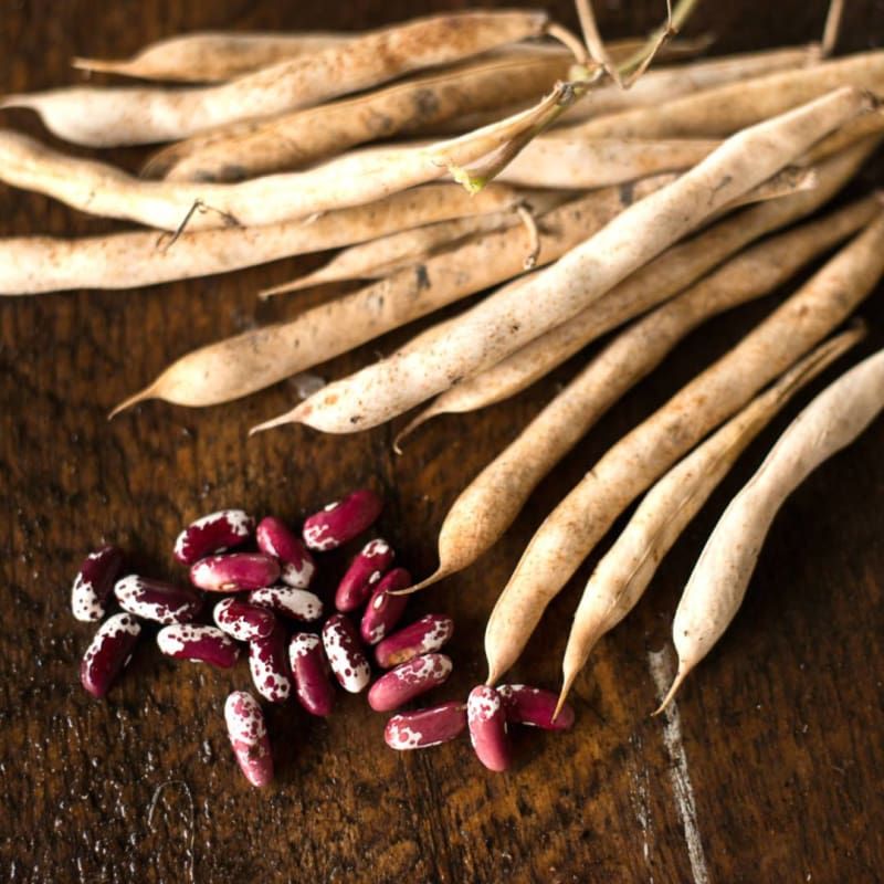A bunch of beans are sitting on a wooden table
