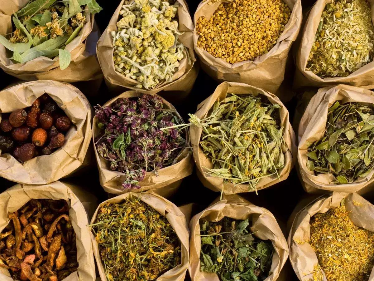 Sow Reap Gal rare herbs for culinary and medicinal use