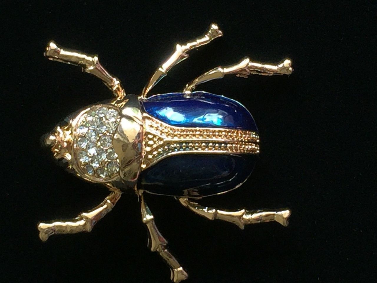A blue and gold beetle is sitting on top of a flower.