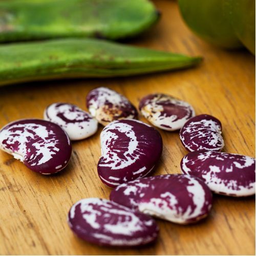 A bunch of purple and white beans on a wooden table