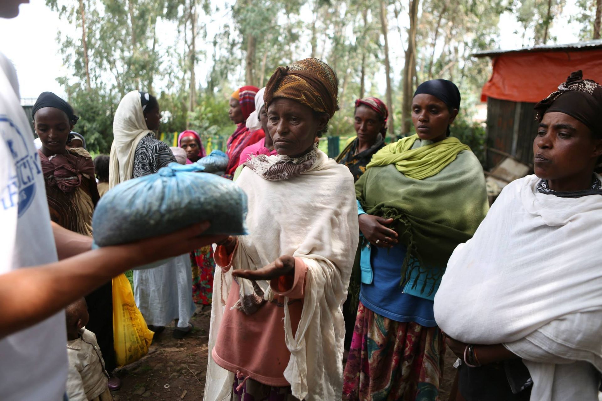 relay global program