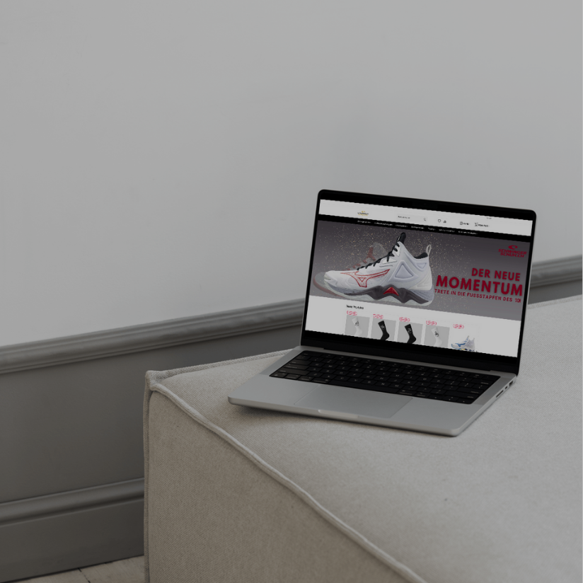 saldia Creative SHOP BANNER I Schwingerschuh.ch