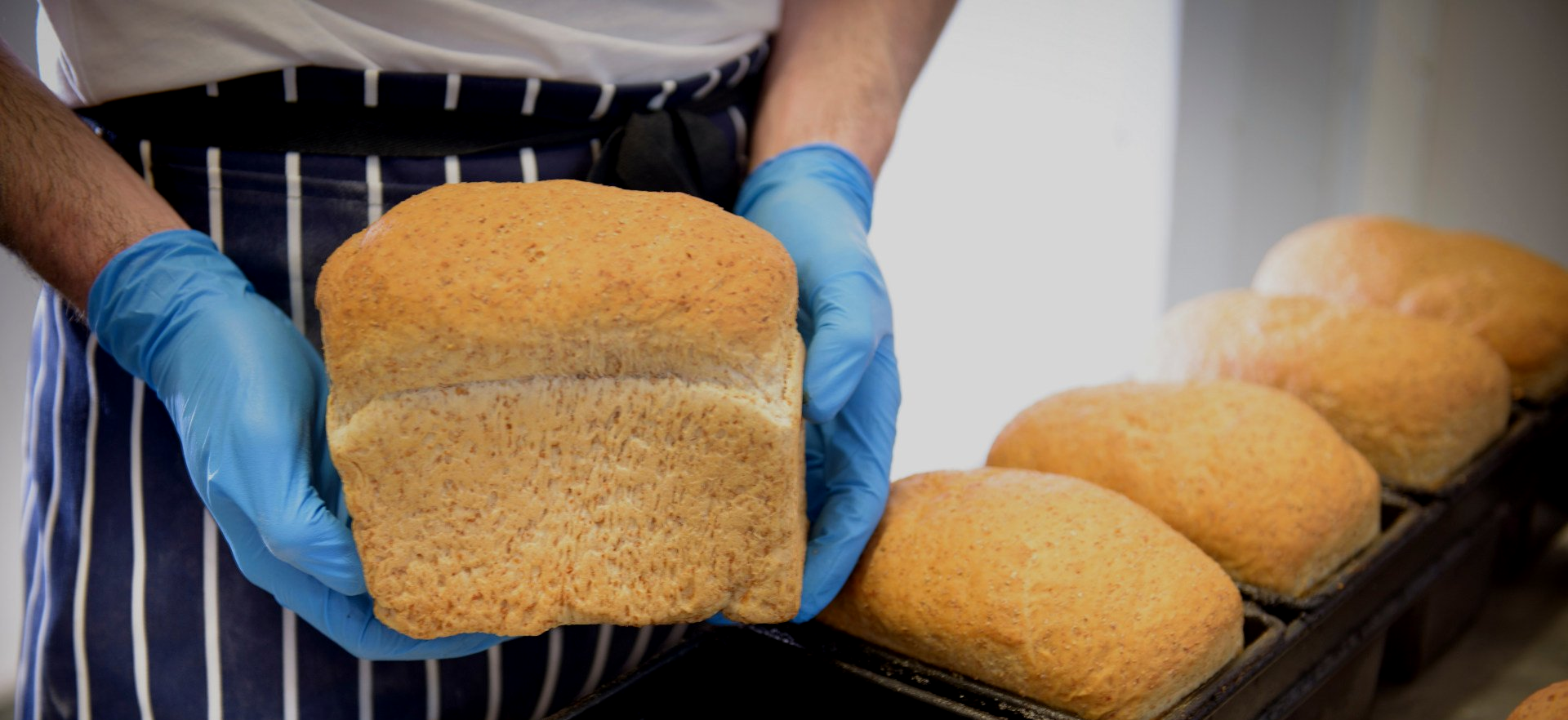 Freshly Baked Loaf Bread