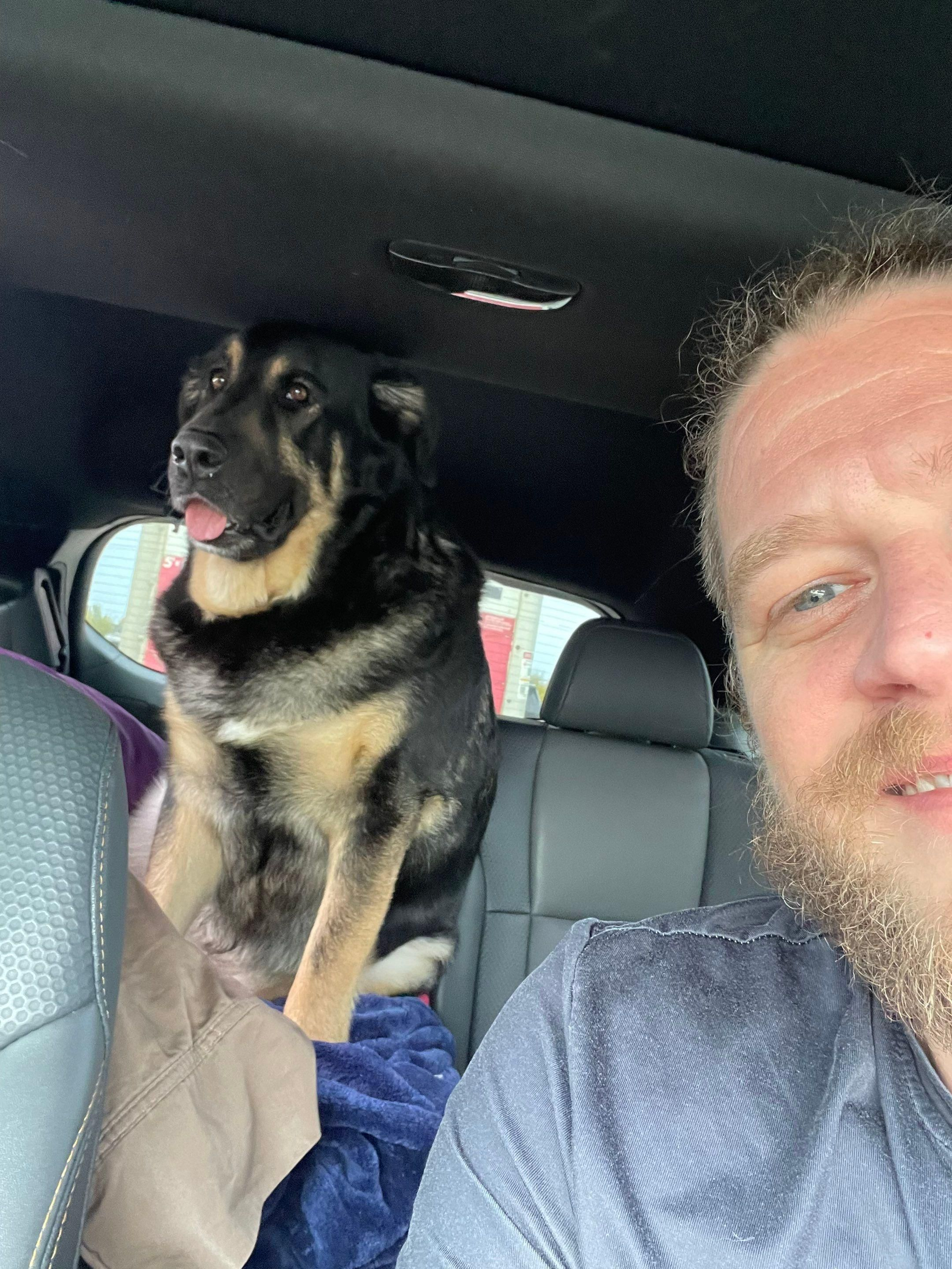 Dog sitting in the back seat of a car beside a smiling man in the front seat