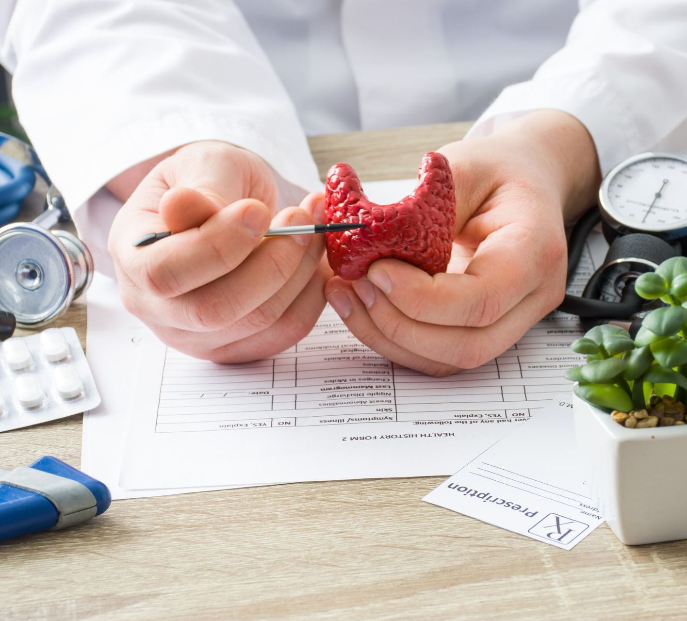 A doctor is holding a model of the thyroid in his hands.