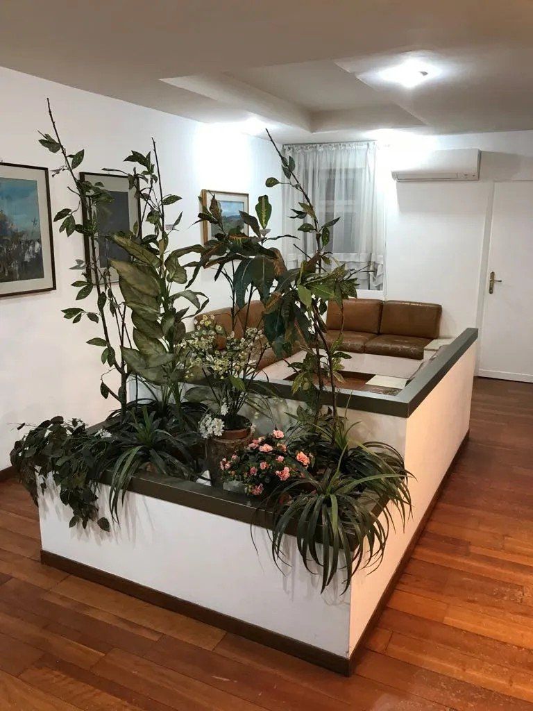 Piante studio legale a Roma