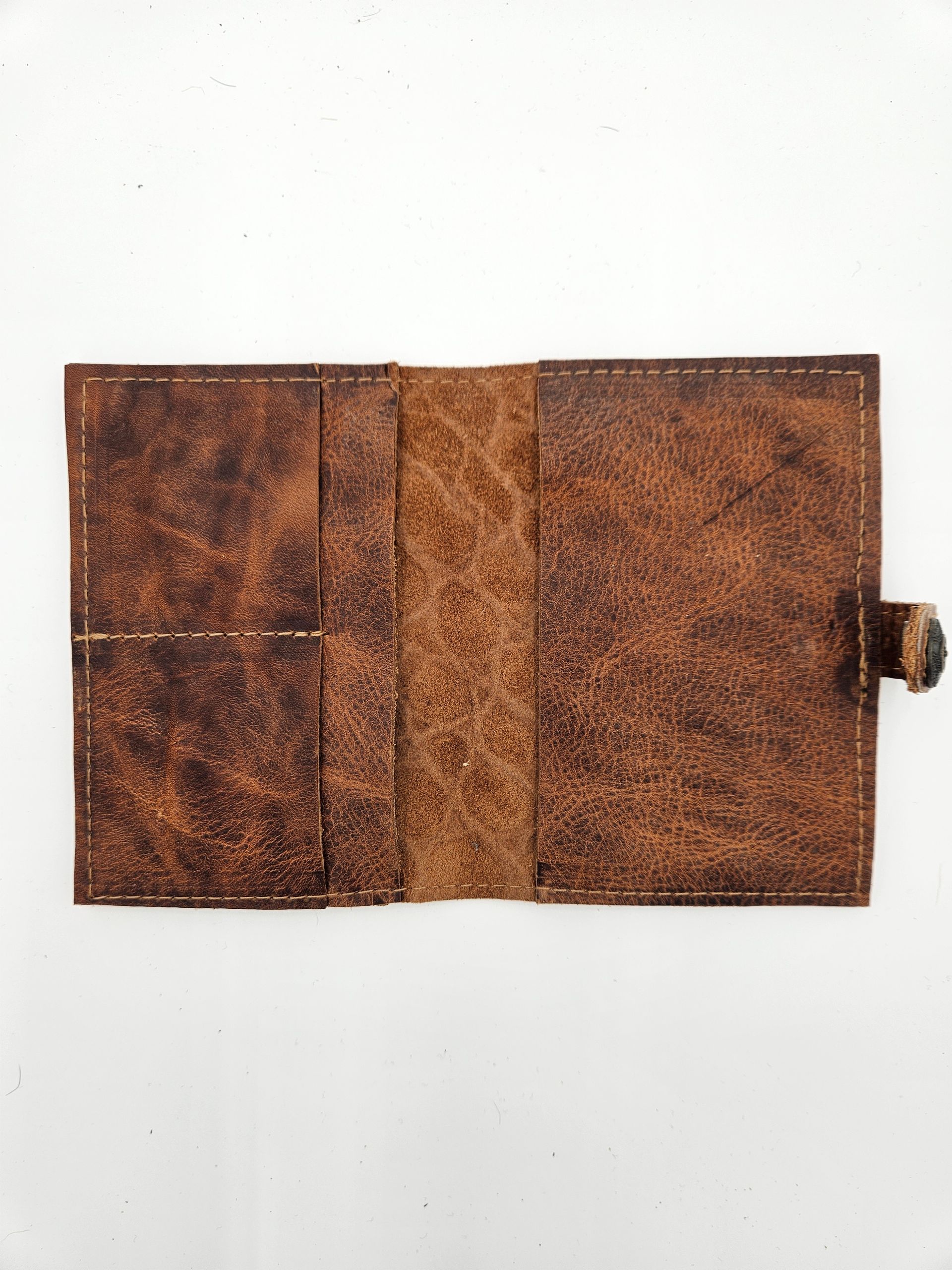 Paspoorthoes turtle / bruin