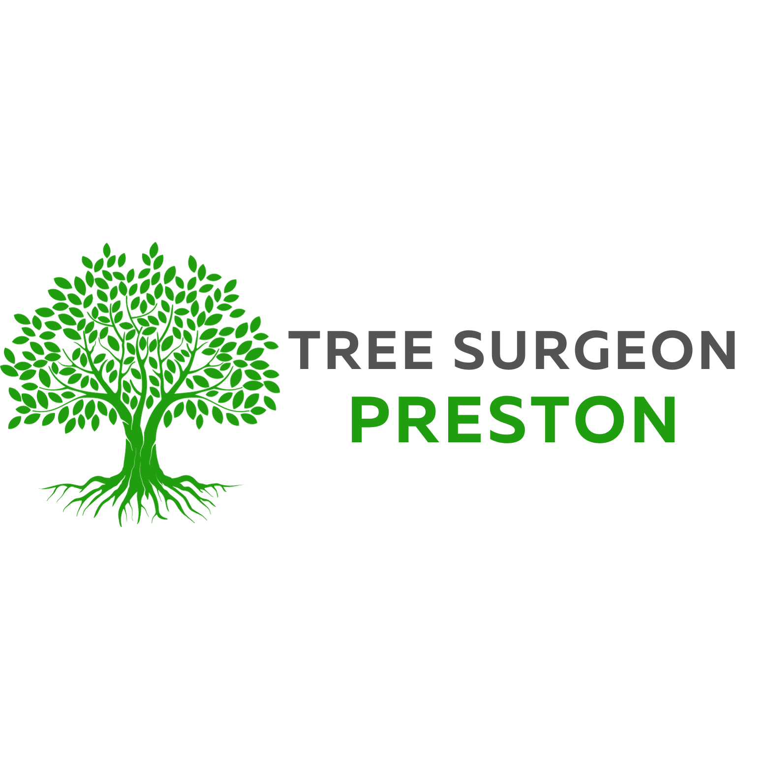 Affordable Tree Contractors | Tree Surgery | Tree Surgeon Preston